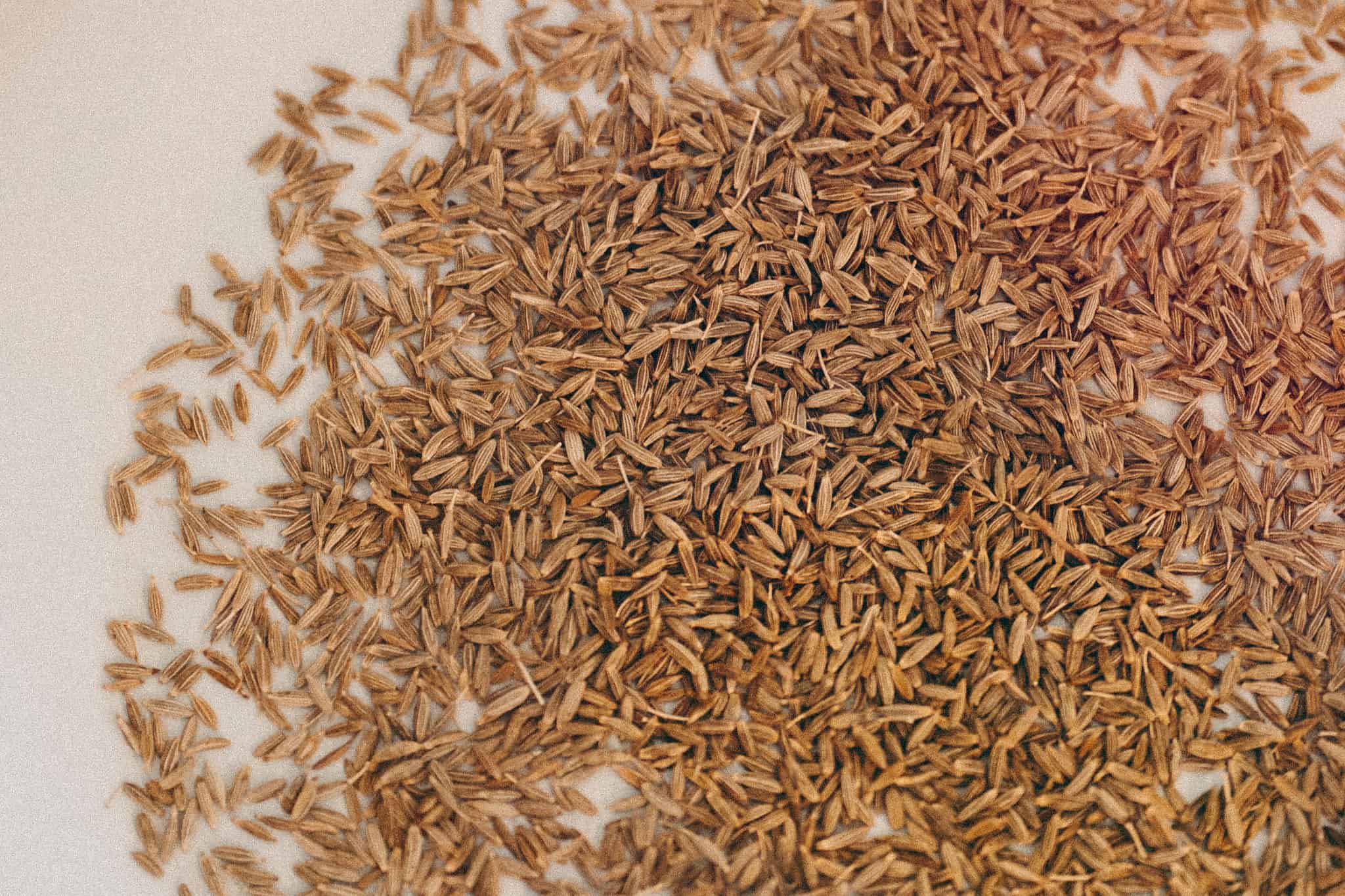 Cumin seeds scattered on a pale surface